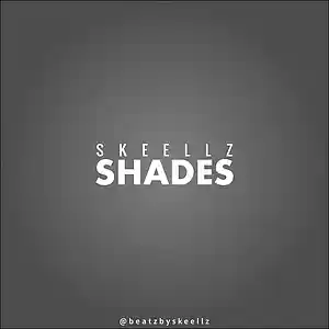 Picture for song 'Shades | 2019 Trap Beat' by artist 'Skeellz'