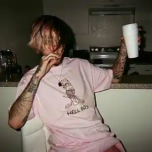 Picture for song 'Remember (Lil Peep x Lil Tracy x Cold Hart x Brenn' by artist 'Skinny Jodye'