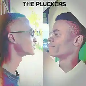Picture for song 'The Pluckers - True story - prod by vitaso 337' by artist 'The Pluckers Drip x and Biggy JKN'