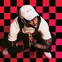 Picture for song '*YG Type Beat* My Section 2 , Buy 1 get 3 Free !! ' by artist 'Sizzle Beatz ( TreySizzleBeatz )'