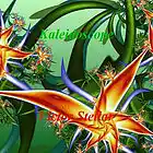 Picture for song 'Kaleidoscope' by artist 'Victor Stellar'