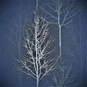 Picture for song 'blue trees' by artist 'zentex'