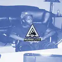 Picture for song 'Chemdawg (Isaiah Rashad Type)' by artist 'Audio Fiene'