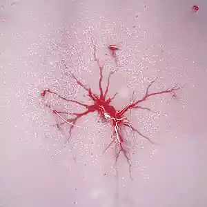 Picture for song 'Logic Type Beat Spider Buy 1 get 2 Free' by artist 'CGPbeats'