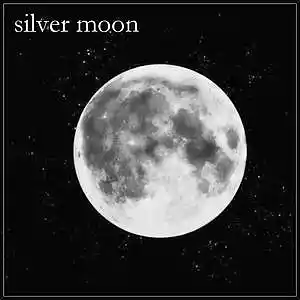 Picture for song 'silver moon . phonk' by artist 'GoseBeats'