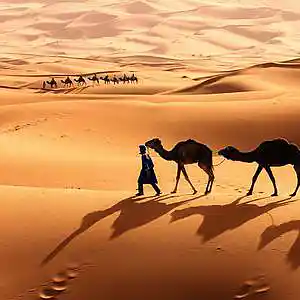 Picture for song 'Eastern sahara' by artist 'KurdiBeatz'