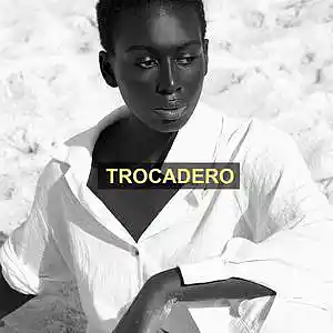Picture for song 'Trocadero (Dancehall X Afrobeat Type Beat)' by artist 'Prod by DJ Smalls'