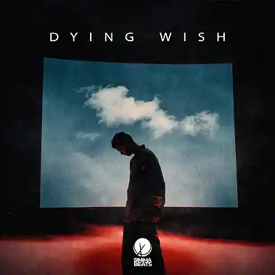 Picture for song 'Dying Wish' by artist 'SINIMA BEATS'