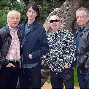 Picture for song 'Here It Comes Again (Live in Belgium)' by artist 'The Fortunes'
