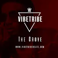 Picture for song '*NEW* The Grove (BUY 1 GET 1 FREE)' by artist 'VibeTribeBeatz'