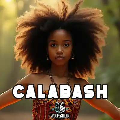 Picture for song '"Calabash" Afro Zouk Type Beat' by artist 'Wolf KillerBeats'