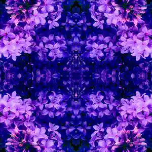 Picture for song 'Dusk' by artist 'WVLLFLWR'