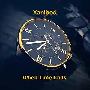 Picture for song 'When Time Ends' by artist 'Xanibod'