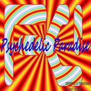 Picture for song 'Psychedelic Paradise Version 2.0' by artist 'DJ Pawsitive Panda Friskodrummer'