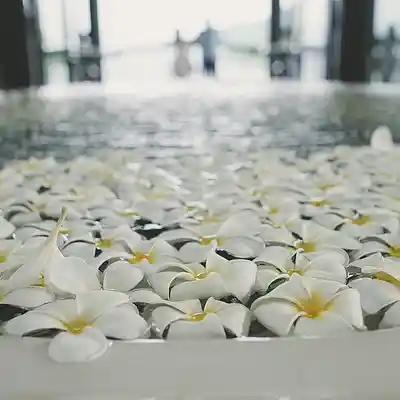 Picture for song 'Dance My Night' by artist 'nofearln'