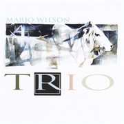 Picture for song 'Circle A' by artist 'Marjo Wilson'