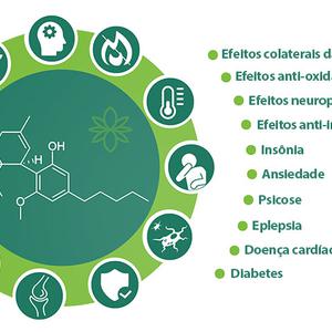 Picture for song 'Pet' by artist 'instruMETAL'