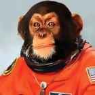 Picture for song 'Ape-O-Naut' by artist '4ft1'