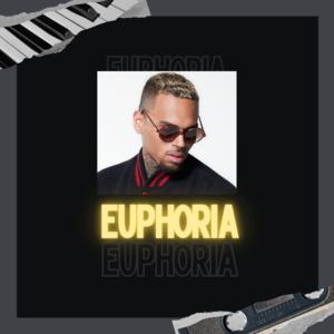 Picture for song 'Euphoria' by artist '9ELEVEN BEATS'