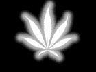 Picture for song 'hood life(09)' by artist 'abcrecords'