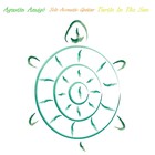 Picture for song 'Without You' by artist 'Agustin Amigo - Solo Acoustic Guitarist -'