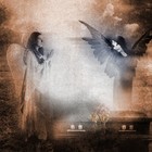 Picture for song 'Pura Vida' by artist 'Alan Lennon'