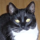 Picture for song 'Trains' by artist 'Alextwokay'