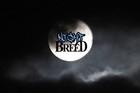 Picture for song 'Brand New' by artist 'alfrestyle'