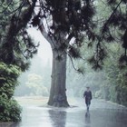 Picture for song 'Out In The Rain *Emotional* (Hip-Hop/Rock)' by artist 'AndrewX'