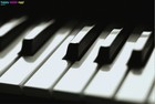 Picture for song 'Gave You All My Love' by artist 'Audio Finesse'