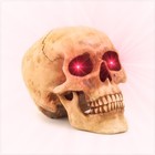 Picture for song 'A Lesson In Metal' by artist 'Backstreet Lobotomist'