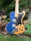 Picture for song 'Mile's Style' by artist 'Barkless Dog'