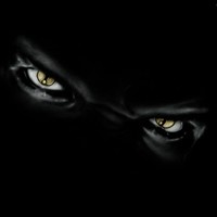 Picture for song 'DIED IN YOUR ARMS' by artist 'BARRY GRAY PRODUCTION'