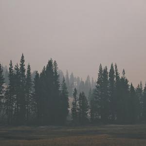 Picture for song 'Affliction' by artist 'Beats by Pixel'