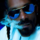 Picture for song 'Loud' by artist 'BEATS BY 2DEEP'