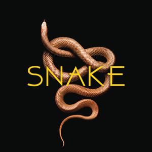 Picture for song 'Young Thug X Gunna Type Beat SNAKE' by artist 'beatsbyhype'