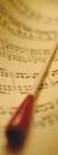 Picture for song 'OrchestratedParadox' by artist 'BeeZee'