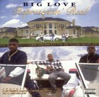 Picture for song 'What A Playa Won't Do' by artist 'Big Love'