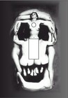 Picture for song 'Braille Teeth' by artist 'Black Chamber'