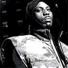 Picture for song 'Dog Life (DMX styl&#101; Hip Hop Instrumental)' by artist 'BlaqPain'