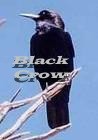 Picture for song 'Black Crow' by artist 'Bobby Clohessy aka Black Stratman'
