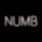 Picture for song 'Numb' by artist 'BongoWorm'