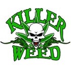 Picture for song 'I'm So High' by artist 'Brady785'