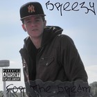 Picture for song 'MAKIN' MOVES' by artist 'BREEZY-FOR THE DREAM'