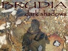 Picture for song 'dark shadows' by artist 'BRUDIA'