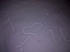 Picture for song 'Somebody Loves You' by artist 'Brum Fili's Ent'