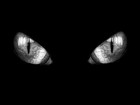 Picture for song 'Watch Us FT Interp & Buck Warren.mp3' by artist 'Buck Warren'