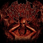 Picture for song 'Plague of Divinity' by artist 'Burial Within'