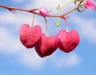 Picture for song 'Chaotic Melody - For Love - R&B' by artist 'Chaotic Melody'