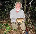 Picture for song 'Shogu' by artist 'Camborigine'